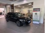 Skoda Kamiq 1.0 TSI 110 CV DSG Style