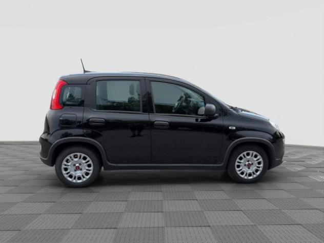 FIAT Panda Panda 1.0 FireFly S&S Hybrid rif. 24078706 - Foto 6