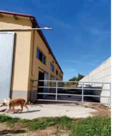 Immobile in asta di 57516 m² in vendita a Sclafani Bagni - Foto 3