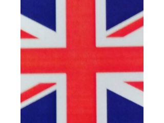 Insegnante lingua inglese