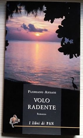 volo radente di Floriano Ansani