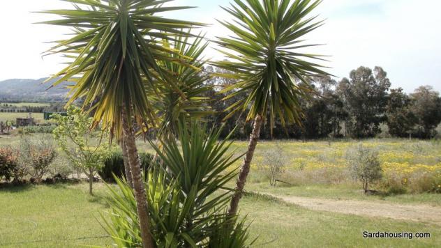 Donori, a 2 km dal paese, complesso agricolo-turistico di recente costruzione - Foto 20