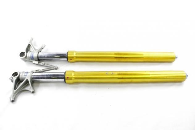 DUCATI MULTISTRADA 1200 S TOURING 34420311A 34520311A COPPIA FORCELLE OHLINS 10 - 12 FRONT FORKS FODERI CON GRAFFI PARAOLIO DA SOSTITUIRE