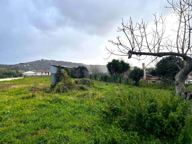 Agricolo in Via Casaletto - Foto 2