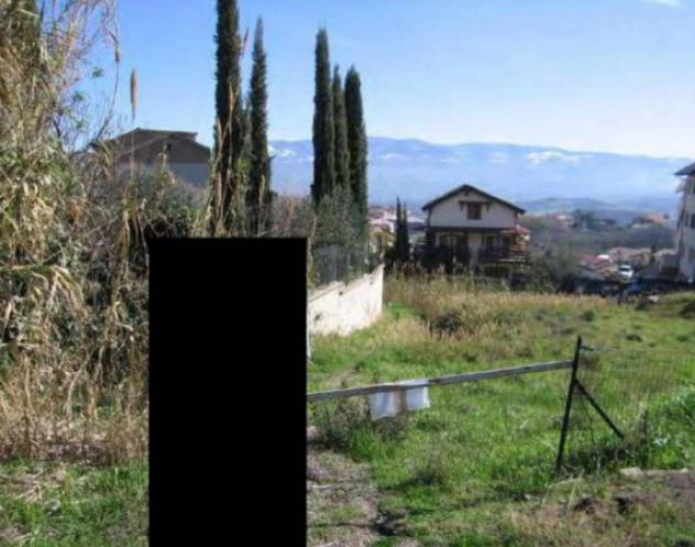 Immobile in asta di 21767 m² in vendita a Monte Porzio - Foto 2