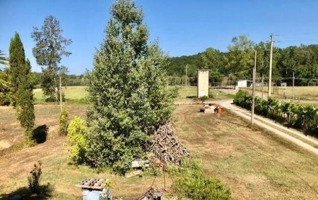 Rustico in vendita a Ghizzano - Peccioli 200 mq Rif: 1126891 - Foto 8