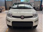 FIAT Panda 1.0 FireFly S&S Hybrid  rif. 23626824