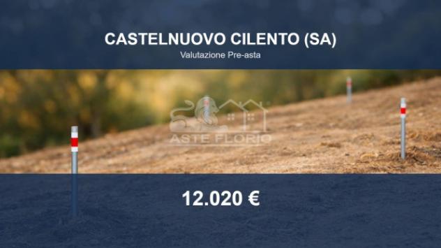 Immobile in asta di 1343 m² in vendita a Castelnuovo Cilento