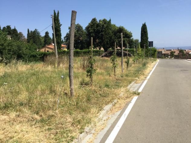Agricolo in vendita a Chianni - Foto 2