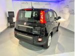 FIAT Pandina Pandina 1.0 FireFly 65 CV Hybrid Icon