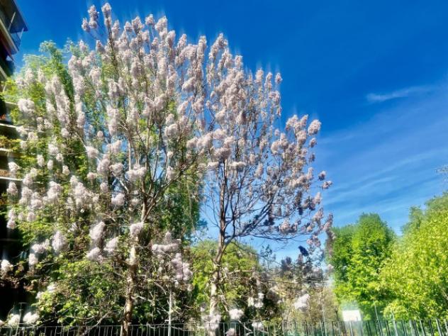 Appartamento di 202 m² con più di 5 locali in affitto a Milano - Foto 7