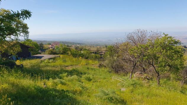 Terreno in vendita a Biancavilla - Foto 4