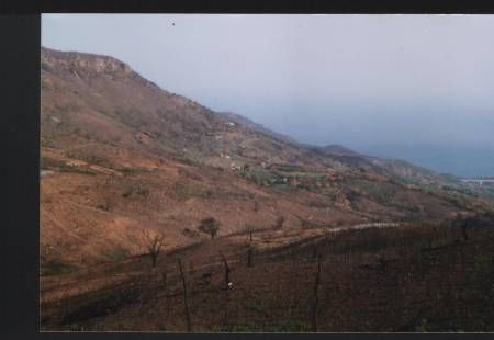 Terreno 17 Ha - Foto 3
