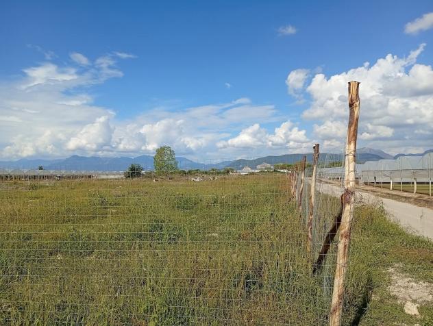 Agricolo in Via Abate Gian Francesco Conforti