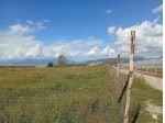Agricolo in Via Abate Gian Francesco Conforti