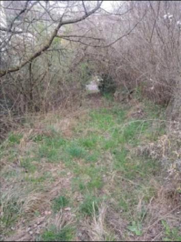 Immobile in asta di 2377 m² in vendita a Rovereto - Foto 10