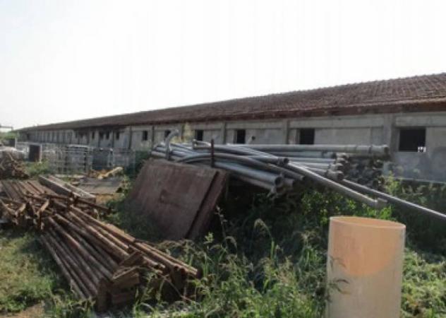 Immobile in asta di 7899 m² in vendita a Pieve del Cairo - Foto 7