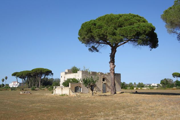 Masseria storica del 1800 - Foto 3
