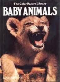 Jane Burton: Baby Animals.