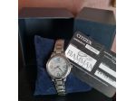 Orologio   Donna Citizen Eco Drive Solo Tempo Data EW2620-86L