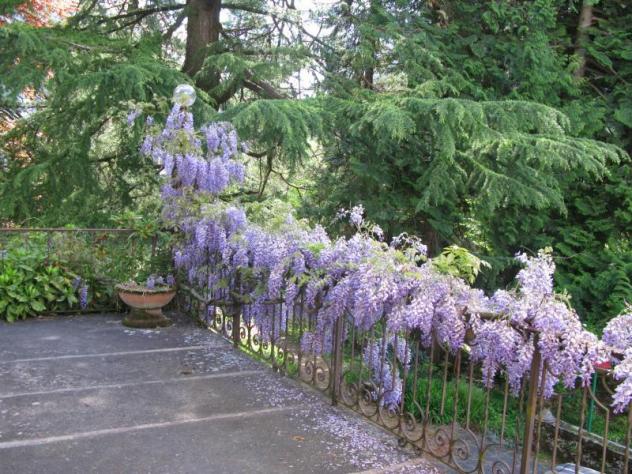 Villa in vendita a Varzo - Foto 9