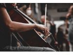 Violoncellista e pianista Firenze