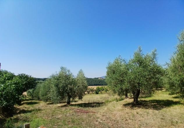 Rustico in vendita a Montecastrilli - Foto 7