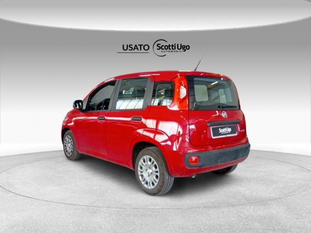 FIAT Pandina III 2024 Panda 1.0 firefly hybrid s&s 70cv - Foto 6