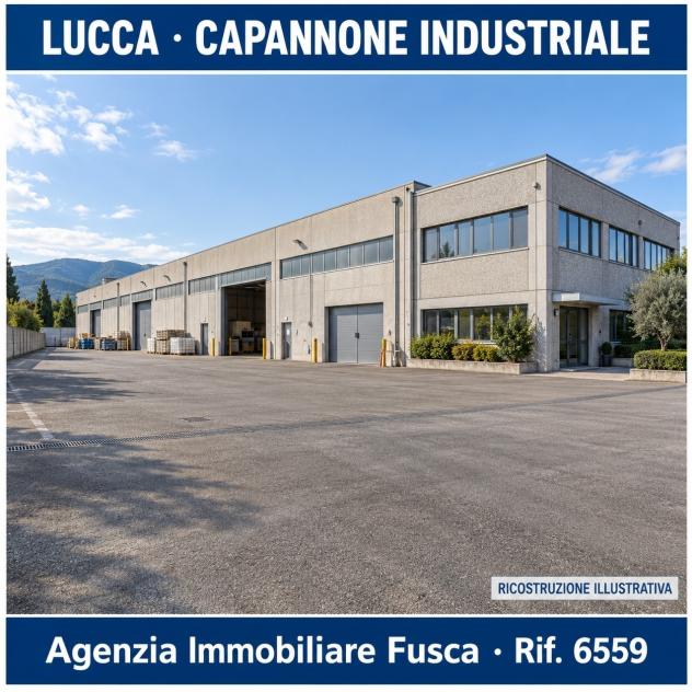 Industriale/Artigianale in vendita a Lucca - Foto 7