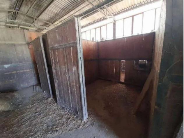 Immobile in asta di 188615 m² in vendita a Castelnuovo Berardenga - Foto 17
