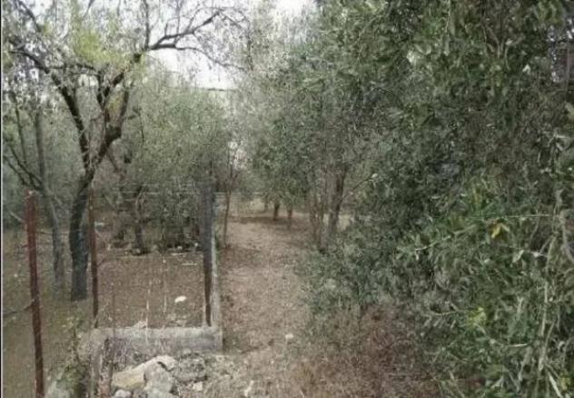 Immobile in asta di 796 m² in vendita a Carini - Foto 7