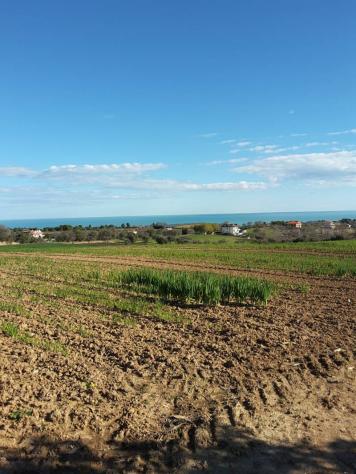 Agricolo in vendita a Cupra Marittima - Foto 15