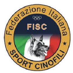 Educatore addestratore cinofilo cani e pensione per cani in casa - Foto 2
