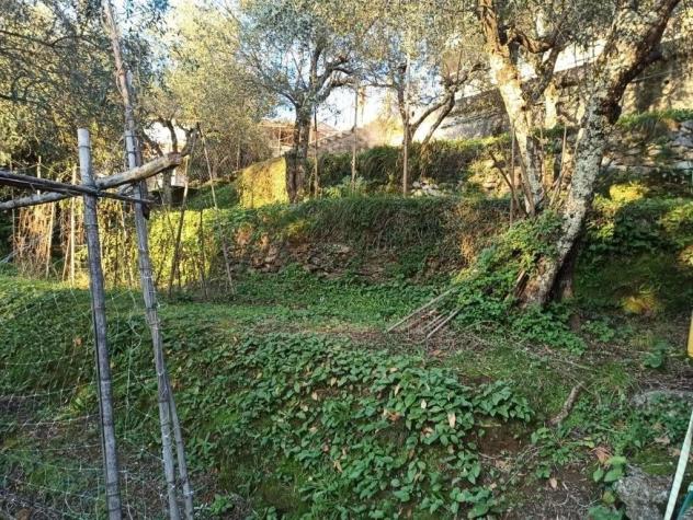 Casa semindipendente in vendita a San Carlo - Massa 130 mq Rif: 1447885 - Foto 5