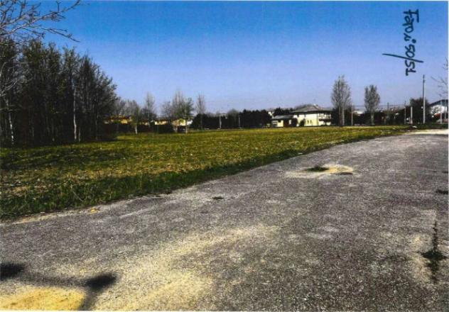 Immobile in asta di 34299 m² in vendita a Castel d'Ario - Foto 2