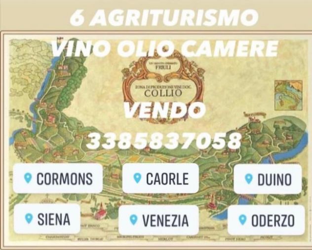 CANTINE CON VIGNETI DI PROSECCO DOC - Foto 2