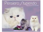Pensione per gatti