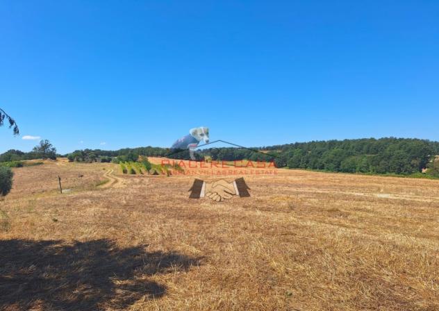Lubriano - Sul confine tra Orvieto e Lubriano, casale con annessi e 11 ha di terreno in vendita. - Foto 5