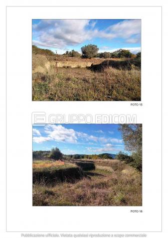 Terreno di 13507 mq in vendita a Bracciano - Rif. 4556556 - Foto 5