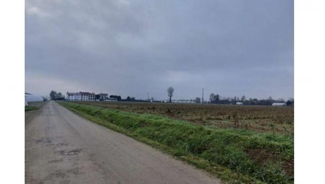 339/2024 2 BG - terreni agricoli in asta a pagazzano - Foto 9