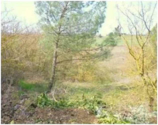 Immobile in asta di 30051 m² in vendita a Arezzo - Foto 4