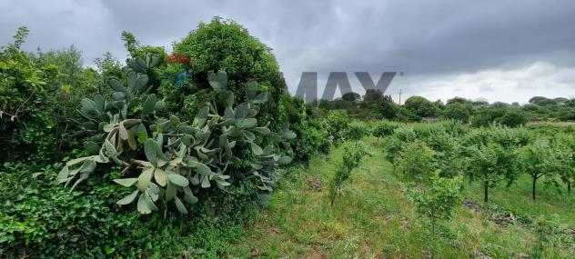Terreno in vendita a Misterbianco - Foto 3