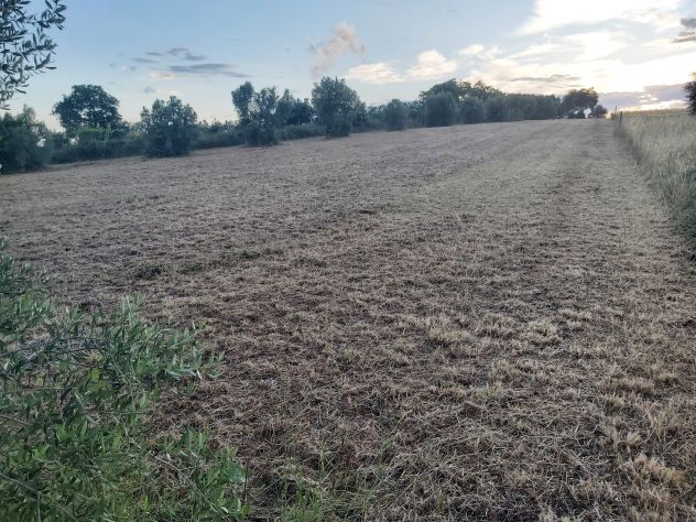 Terreno agricolo Velletri (RM) - Foto 2