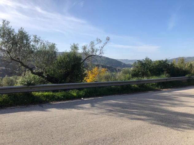 Agricolo in Destre - Foto 8