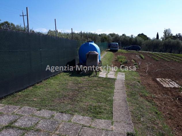 ORTO RECINTATO A POCA DISTANZA DA PESARO - Foto 4
