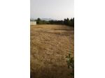Agricolo in vendita a San Sperate