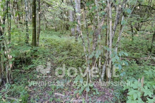 Rustico / Casale di 75 m² con 2 locali in vendita a Taleggio - Foto 6