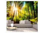 Fotomurale Adesivo Nella Foresta Amazzonica Arredalacasa