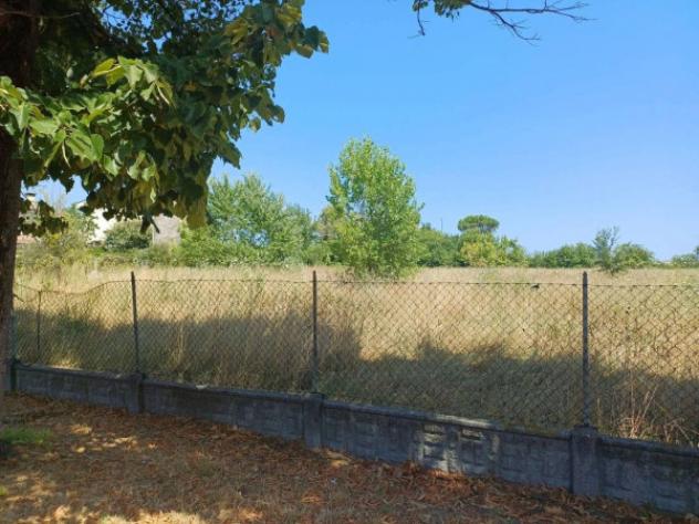 Immobile in asta di 7823 m² in vendita a Gatteo - Foto 8