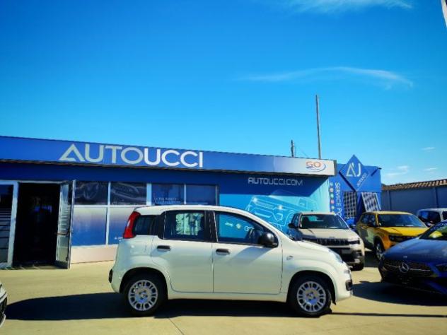 FIAT Panda 1.0 FireFly S&S Hybrid rif. 24227194 - Foto 2